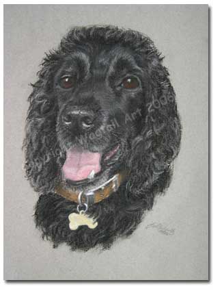 Black Cocker Spaniel