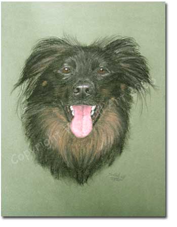 Crossbreed