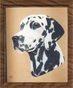 pastel pet portraits