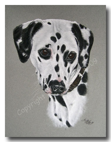 Dalmatian