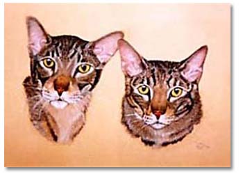 Egyptian Mau Cats