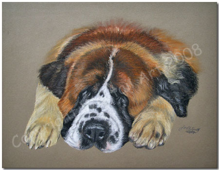 St Bernard