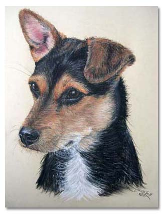 Terrier