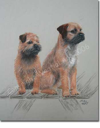 Terriers